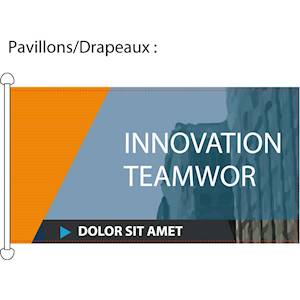 Sublimation sur maille drapeau et confection pavillon (renfort avec 2 anneaux PVC côtés gauche sur la hauteur de 120cm et couture sur les 3 autres côtés).
